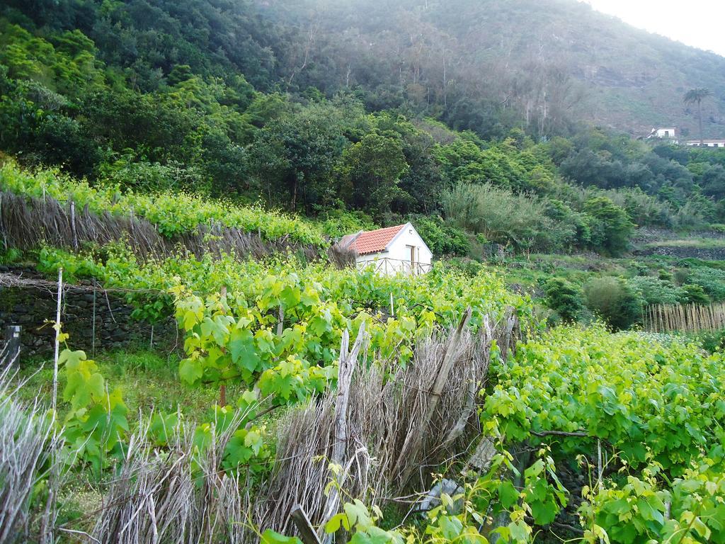 A Casa Estrelicia-Dourada Garces Villa São Vicente Exteriör bild