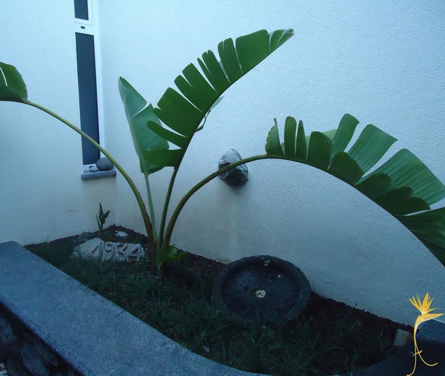 A Casa Estrelicia-Dourada Garces Villa São Vicente Exteriör bild